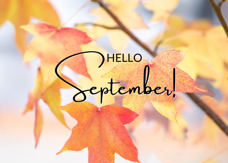 September Update – Disciple Makers